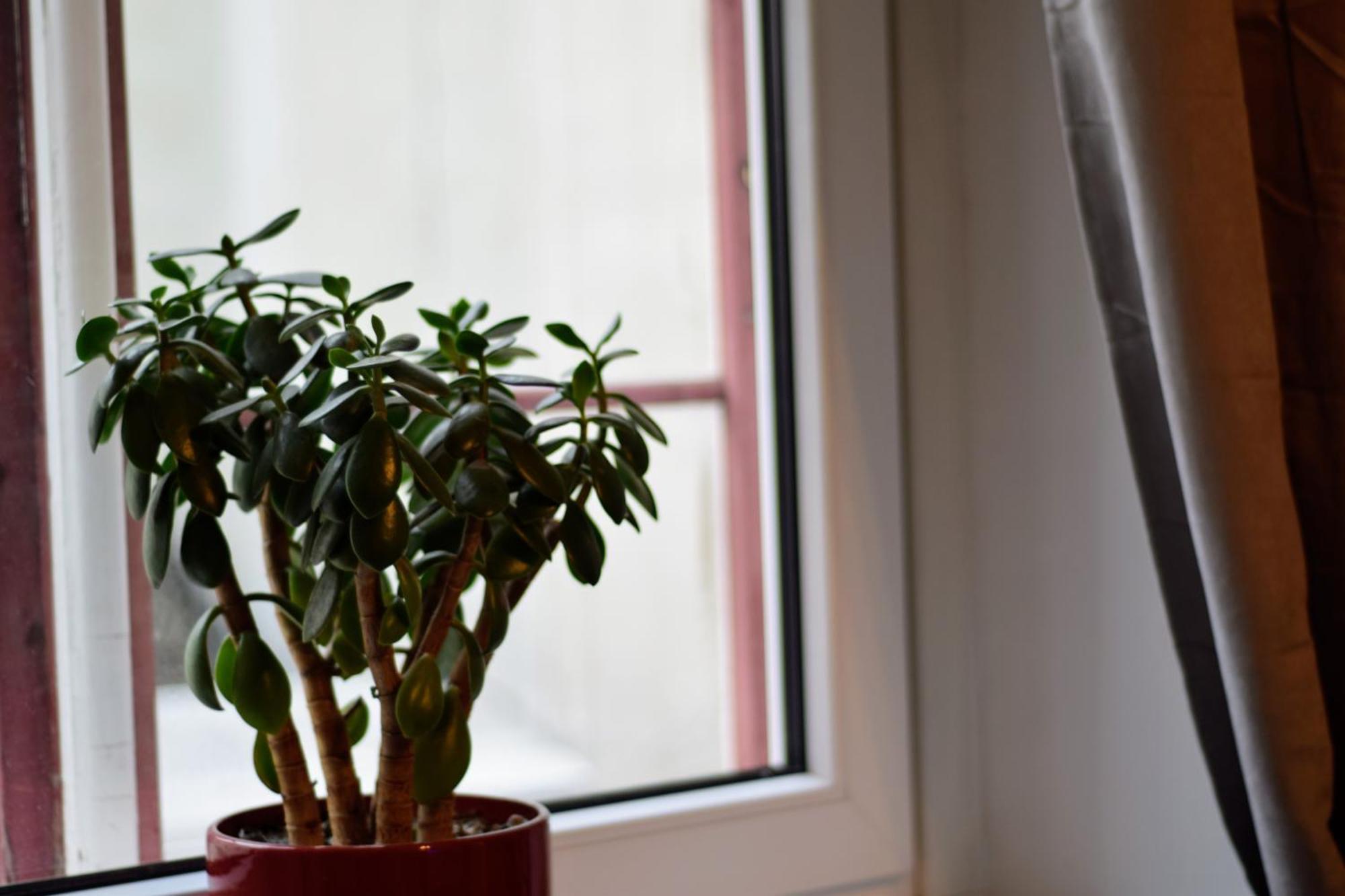 Residences Huoneisto